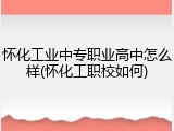怀化工业中专职业高中怎么样(怀化工职校如何)