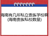 海南有几所私立贵族学校啊(海南贵族私校数量)