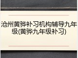 沧州黄骅补习机构辅导九年级(黄骅九年级补习)