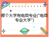 哪个大学有电商专业("电商专业大学")