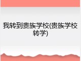 我转到贵族学校(贵族学校转学)