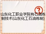 山东化工职业学院有石油炼制技术(山东化工石油炼制)