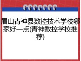 眉山青神县数控技术学校哪家好一点(青神数控学校推荐)
