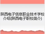 陕西电子信息职业技术学校介绍(陕西电子职校简介)