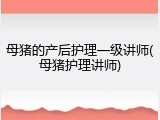 母猪的产后护理一级讲师(母猪护理讲师)
