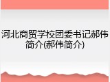 河北商贸学校团委书记郝伟简介(郝伟简介)