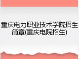 重庆电力职业技术学院招生简章(重庆电院招生)