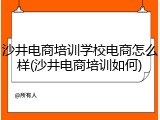 沙井电商培训学校电商怎么样(沙井电商培训如何)