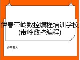 伊春带岭数控编程培训学校(带岭数控编程)