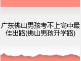 广东佛山男孩考不上高中最佳出路(佛山男孩升学路)