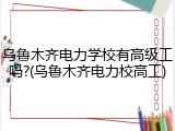 乌鲁木齐电力学校有高级工吗?(乌鲁木齐电力校高工)