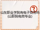 山东职业学院有电子商务吗(山职院电商专业)