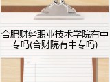 合肥财经职业技术学院有中专吗(合财院有中专吗)