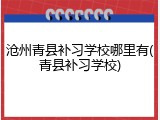 沧州青县补习学校哪里有(青县补习学校)