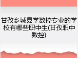甘孜乡城县学数控专业的学校有哪些职中生(甘孜职中数控)