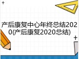 产后康复中心年终总结2020(产后康复2020总结)