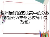 梧州最好的艺校高中的分数线是多少(梧州艺校高中录取线)
