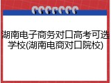 湖南电子商务对口高考可选学校(湖南电商对口院校)