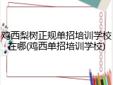 鸡西梨树正规单招培训学校在哪(鸡西单招培训学校)