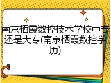 南京栖霞数控技术学校中专还是大专(南京栖霞数控学历)