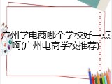 广州学电商哪个学校好一点啊(广州电商学校推荐)