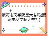漯河电商学院是大专吗(漯河电商学院大专？)