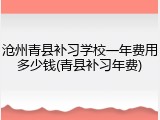 沧州青县补习学校一年费用多少钱(青县补习年费)