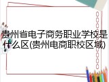 贵州省电子商务职业学校是什么区(贵州电商职校区域)