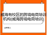 威海有校区的跨境电商培训机构(威海跨境电商培训)