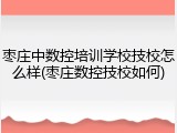 枣庄中数控培训学校技校怎么样(枣庄数控技校如何)