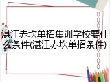 湛江赤坎单招集训学校要什么条件(湛江赤坎单招条件)