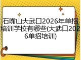 石嘴山大武口2026年单招培训学校有哪些(大武口2026单招培训)