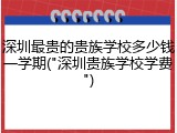 深圳最贵的贵族学校多少钱一学期("深圳贵族学校学费")