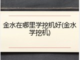 金水在哪里学挖机好(金水学挖机)
