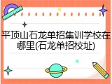 平顶山石龙单招集训学校在哪里(石龙单招校址)