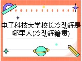 电子科技大学校长冷劲辉是哪里人(冷劲辉籍贯)
