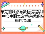 莱芜钢城哪有数控编程培训中心中职怎么样(莱芜数控编程培训)
