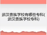 武汉贵族学校有哪些专科(武汉贵族学校专科)