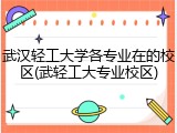 武汉轻工大学各专业在的校区(武轻工大专业校区)