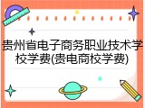 贵州省电子商务职业技术学校学费(贵电商校学费)