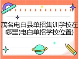 茂名电白县单招集训学校在哪里(电白单招学校位置)