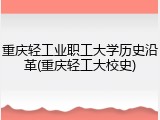 重庆轻工业职工大学历史沿革(重庆轻工大校史)