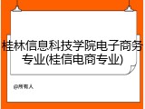 桂林信息科技学院电子商务专业(桂信电商专业)