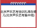 北京声乐艺考培训扎堆在哪儿(北京声乐艺考集中地)