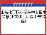 山东化工职业学院中专招生简章(山东化工职院中专招生)