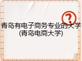 青岛有电子商务专业的大学(青岛电商大学)
