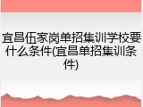 宜昌伍家岗单招集训学校要什么条件(宜昌单招集训条件)