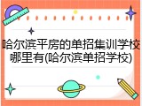 哈尔滨平房的单招集训学校哪里有(哈尔滨单招学校)