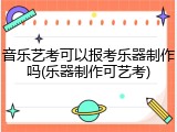 音乐艺考可以报考乐器制作吗(乐器制作可艺考)