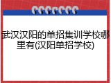 武汉汉阳的单招集训学校哪里有(汉阳单招学校)